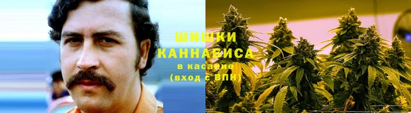 прущий лед Белокуриха