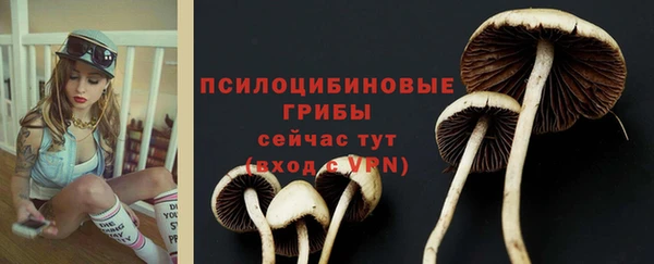 ПСИЛОЦИБИНОВЫЕ ГРИБЫ Беломорск