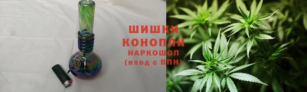 ПСИЛОЦИБИНОВЫЕ ГРИБЫ Беломорск