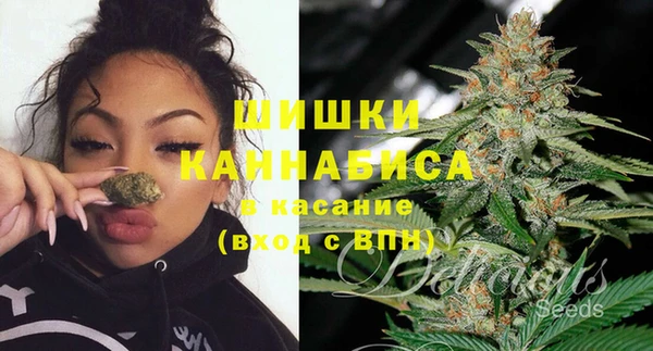 ПСИЛОЦИБИНОВЫЕ ГРИБЫ Беломорск