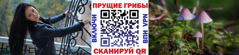 Псилоцибиновые грибы прущие грибы  Красный Холм 