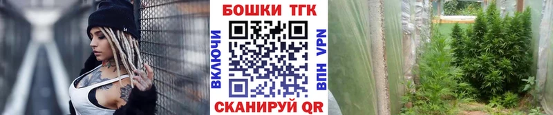 Бошки Шишки SATIVA & INDICA  МЕГА маркетплейс  Красный Холм 